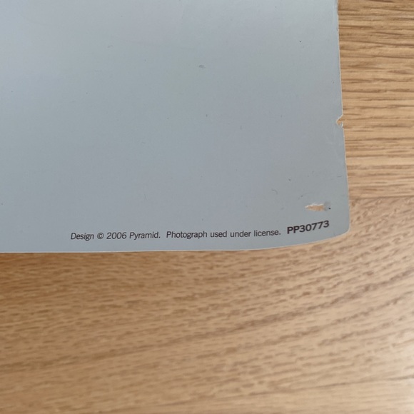 POSTER “Kissing The War Goodbye” - Picture 6 of 8